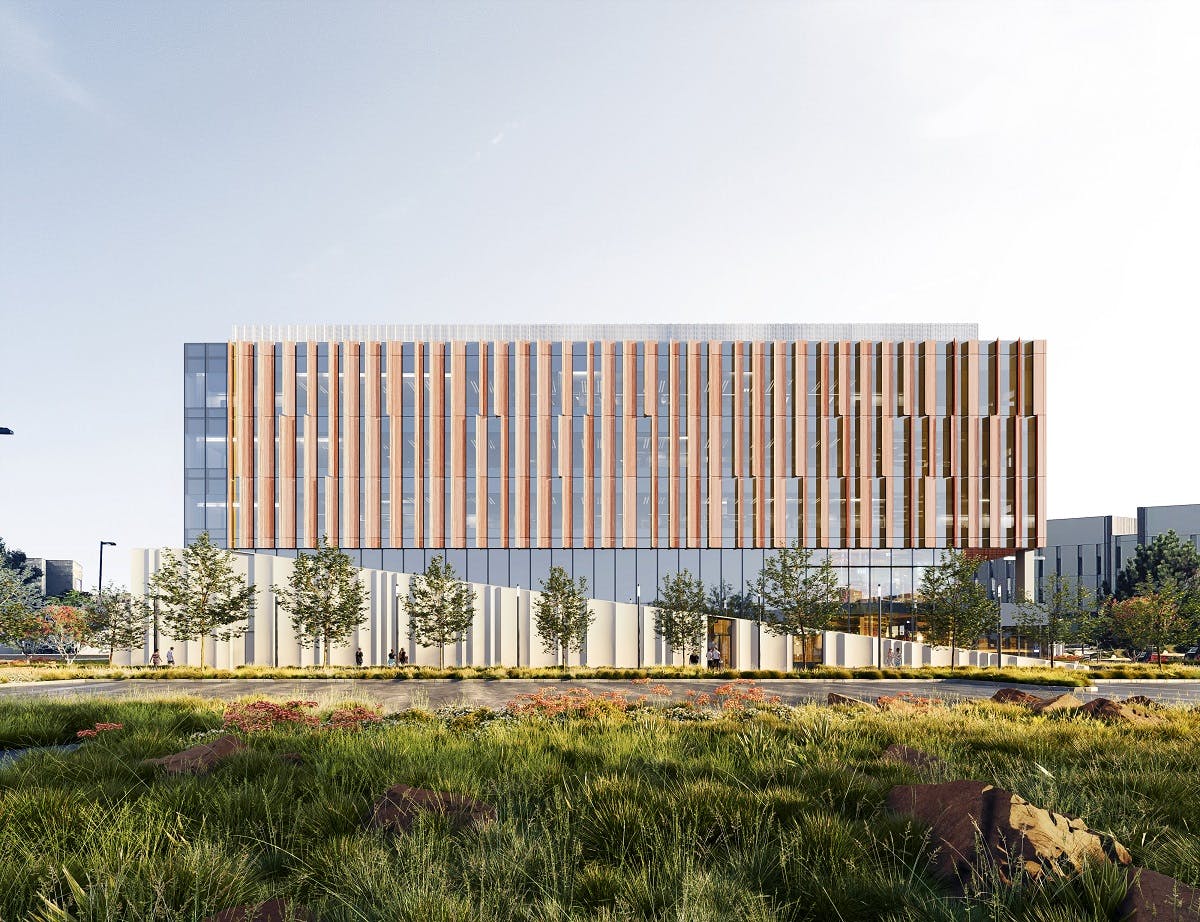 Seks porno katta eshak qora ayol